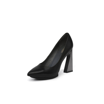 Pointed Toe Pumps Jady Rose